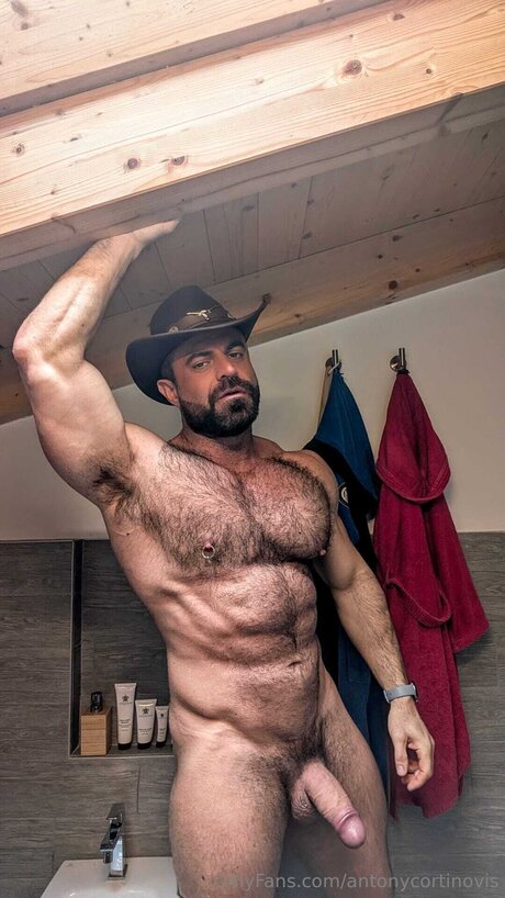 Antonycortinovis star art gallery