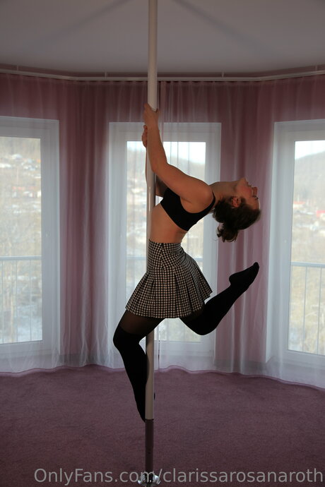 Clarissarosanaroth star art galleries