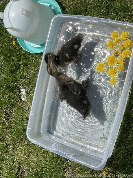 Xsluttycupcakex6669x star sexy galleries