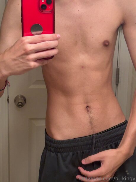 Bi Kingy model art picture