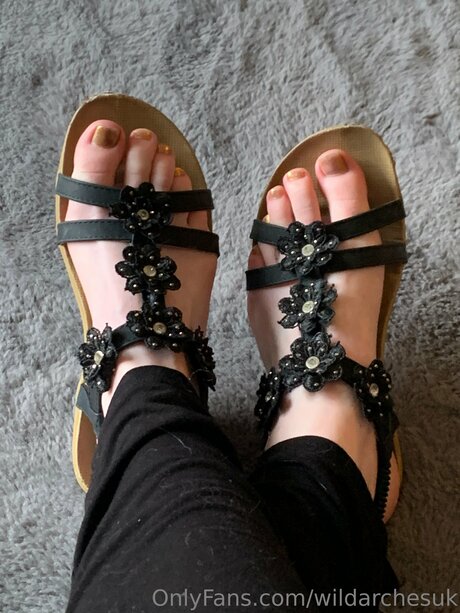 Wildarchesuk Profile