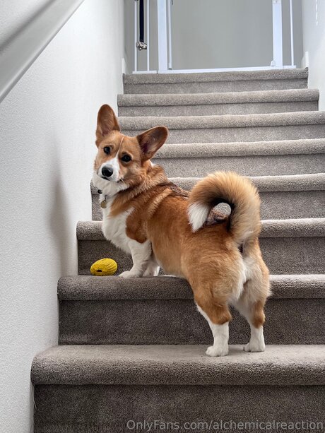 pawg amateur onlyfans hot galleries