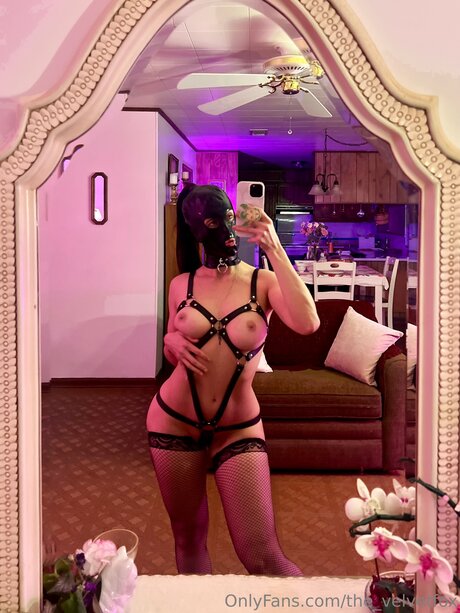 The Velvetfox hd actress galleries