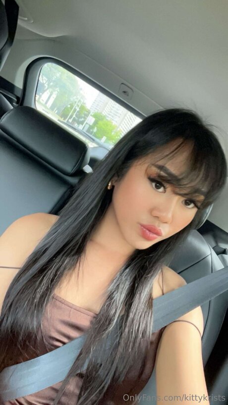 Kittykrists model nice img