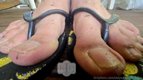 Ladykassmenagerie pornstar erotic pic