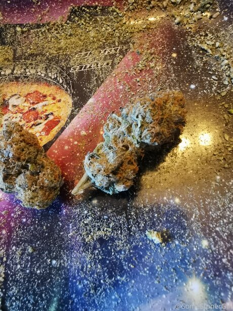 Somestonergirl star best pic