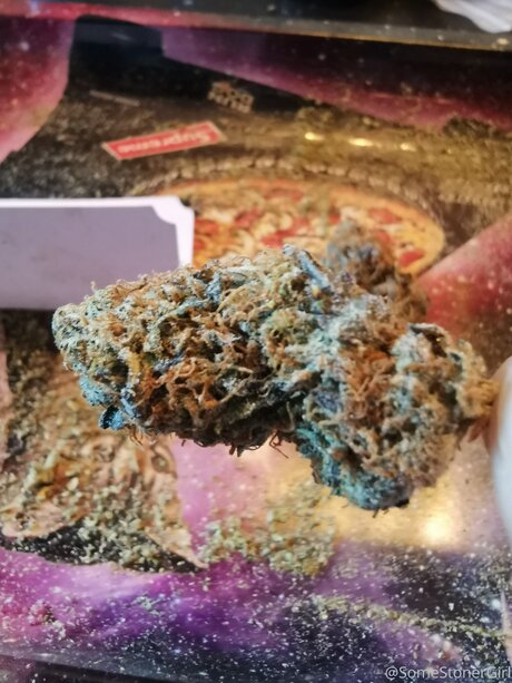 Somestonergirl hd pornstar image