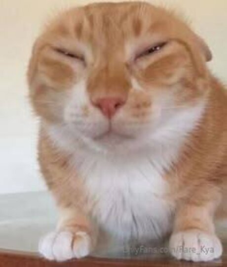 Rare Kya pornstar archive