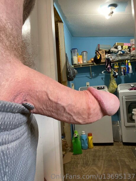 U13695137 star top pictures