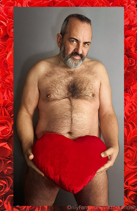 Viktorkarmen nice model picture