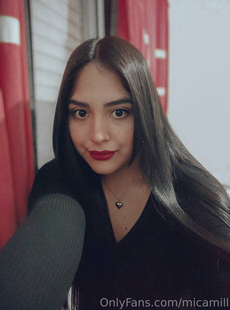 Miccamill art model img