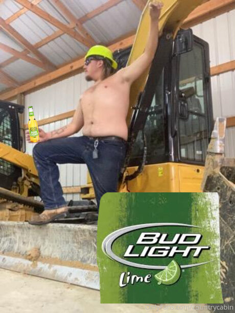 Countrycabin free model image