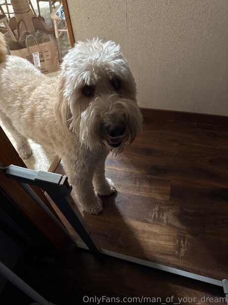 Man Of Your Dream star hot pictures