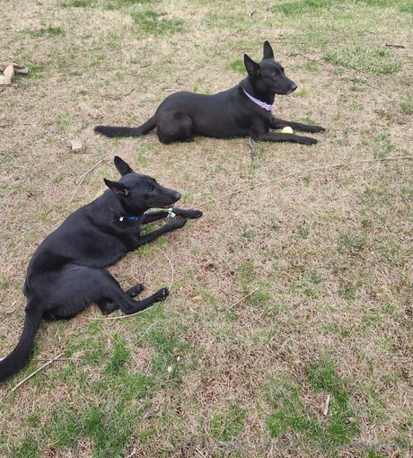 Kirstenkrawford hot model image