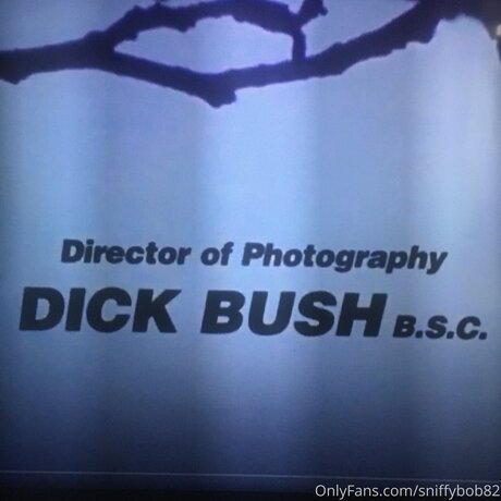 Sniffybob82 erotic star galleries