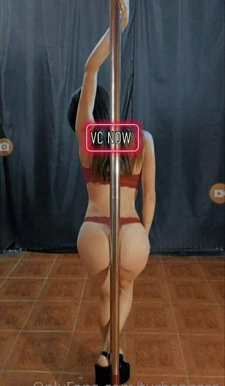 gay tube onlyfans adult galleries