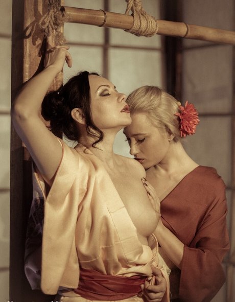 Willbond porn star images