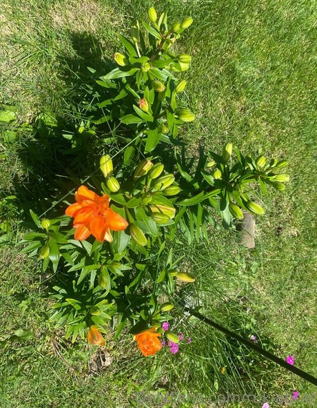 blonde secretary onlyfans free naked archive