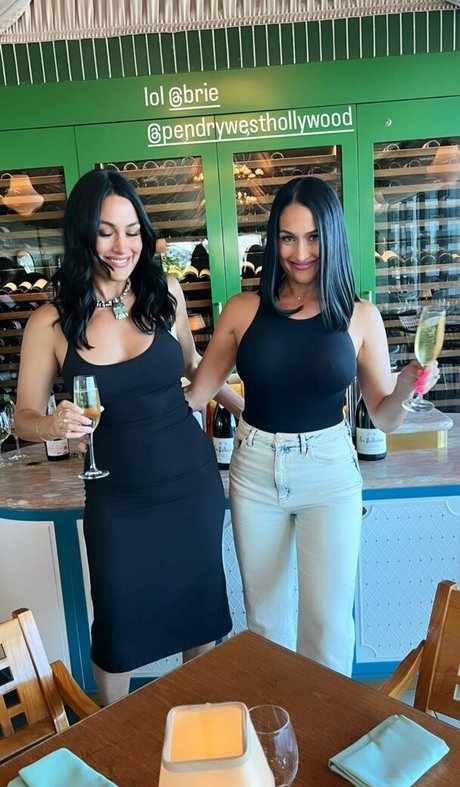 Nikki Bella erotic actress image