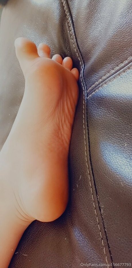 simplysuze art star galleries