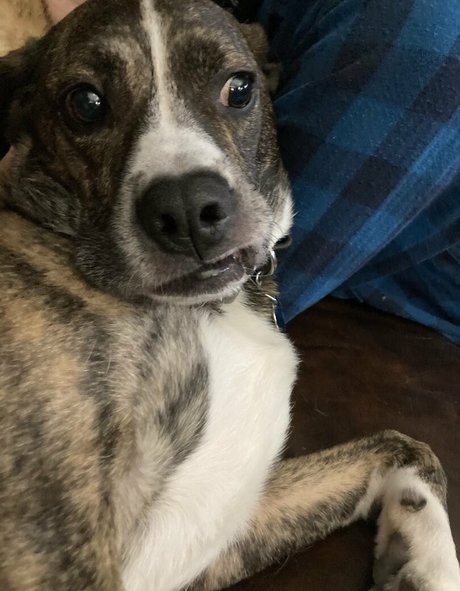 bridgetblack sexy star galleries