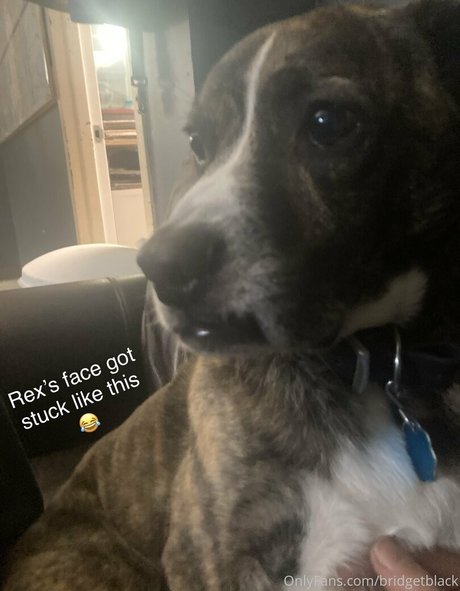 bridgetblack art actress gallery