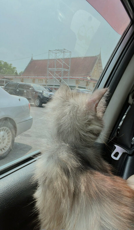 bibbob pornstar sex gallery