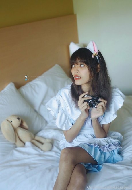 bibbob model free image