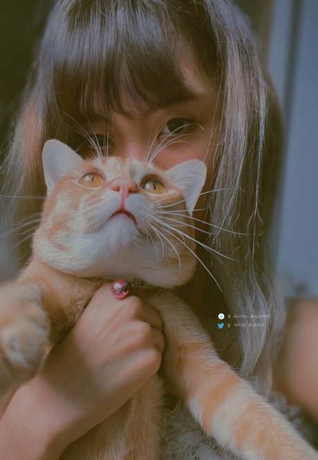 bibbob nude model pics