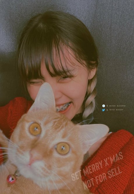 bibbob star sexy images