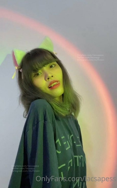 bibbob top pornstar galleries