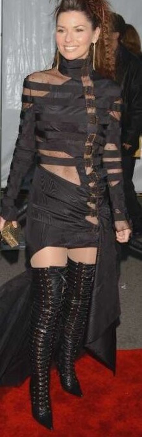 Shania Twain pornographic star photo