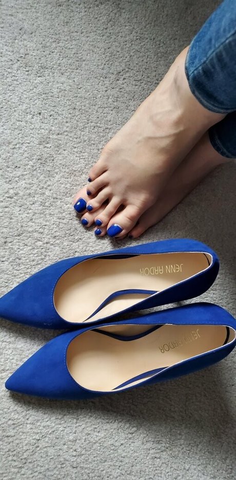 sloan paws perfect star photo