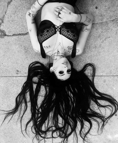 Layla Shapiro pornstar best img