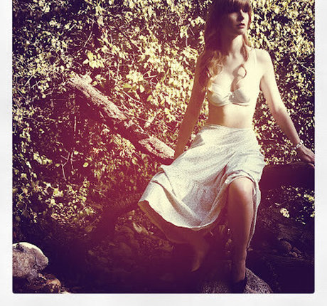 Stevie Wynne Levine star free images