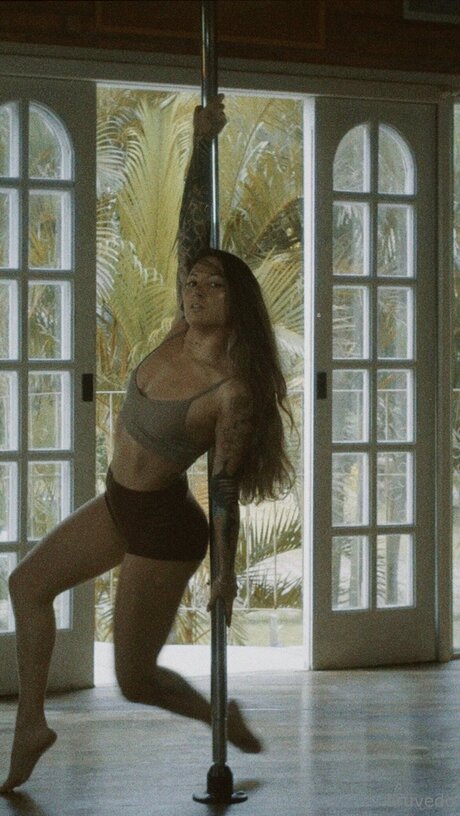 Sirenadamare high quality star images