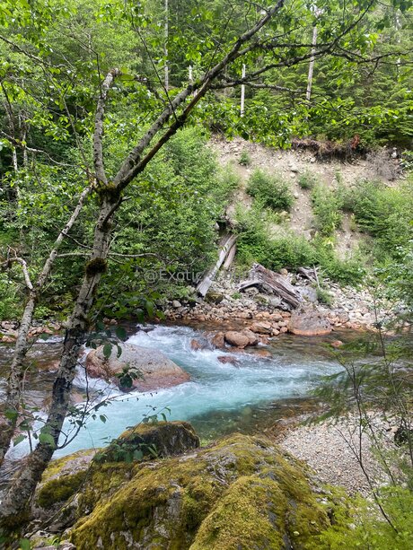 Exotic X Bunny star nudes photos