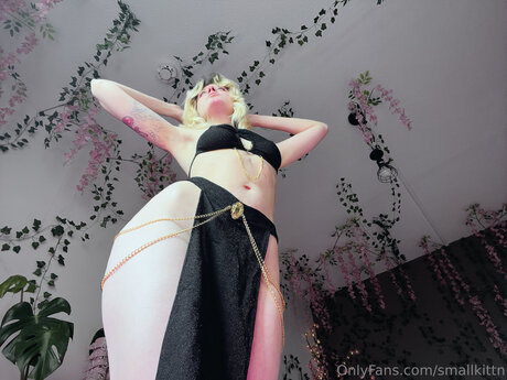 My Blushy Kittn Free star hd image