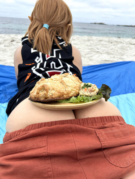 Wilddubiousfood free pornstar galleries