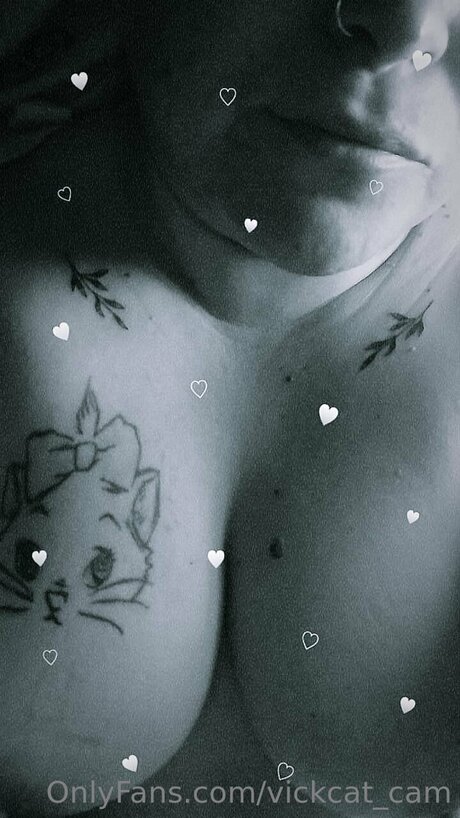 Vickcat Cam pornstar high quality picture