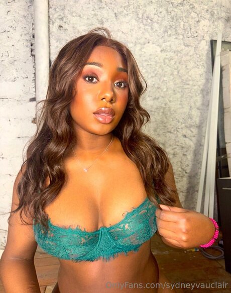 Sydneyvauclair art model gallery