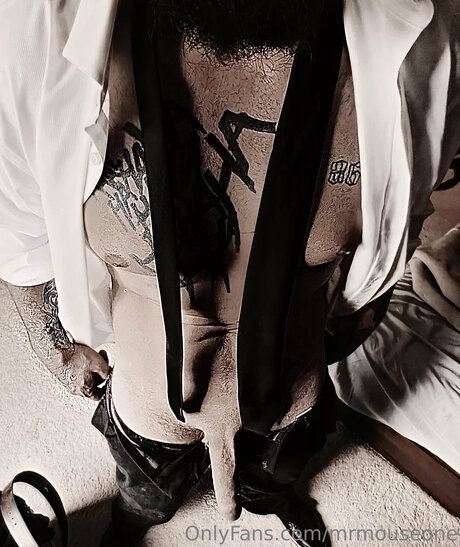 Mrmouseone model perfect gallery