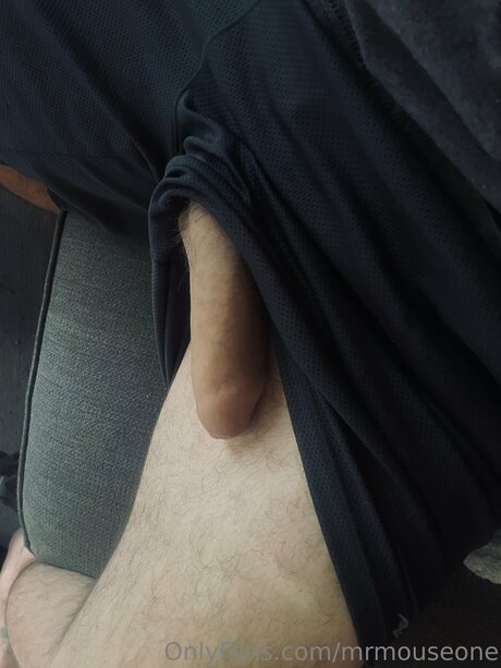 Mrmouseone high quality actress images