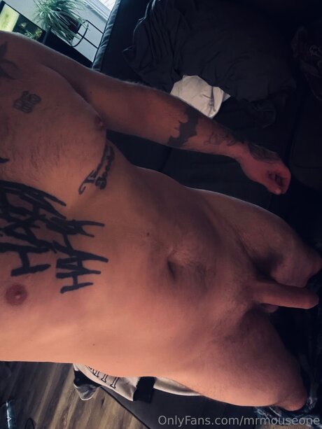 Mrmouseone pornstar pretty image