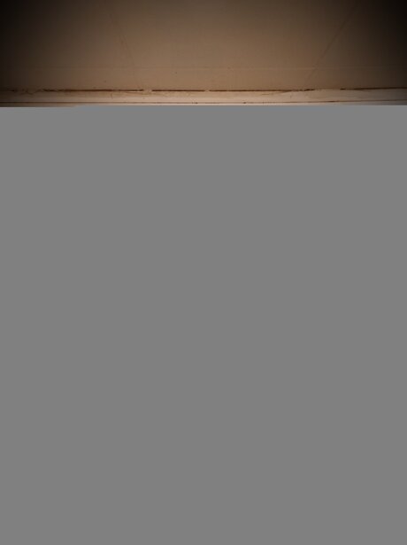 Goddessblondiefeet model sex galleries