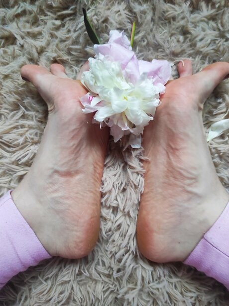 Goddessblondiefeet xxx star photos