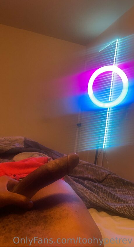 Toohypetrev porn star gallery