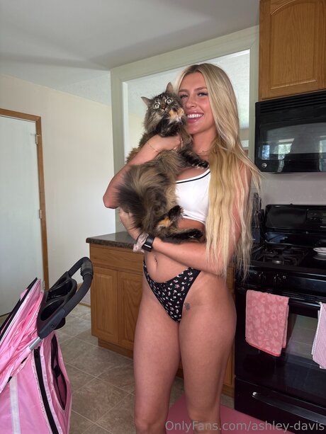 Ashley Davis star free gallery