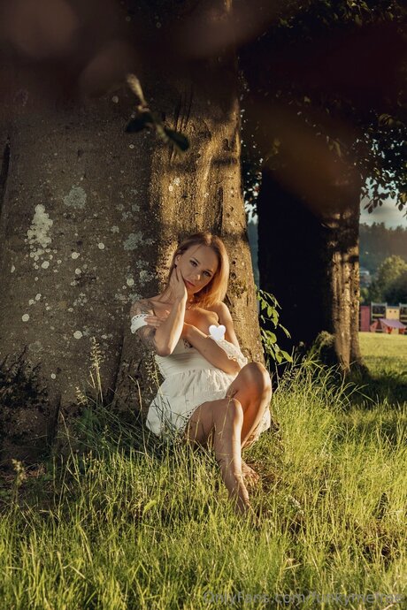 Funkymefree star adult img