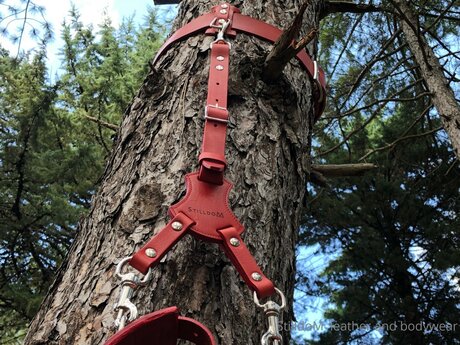 Stilldom adult star pics